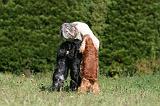 ADULTE ET CHIEN 290